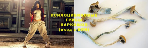 spice Вяземский