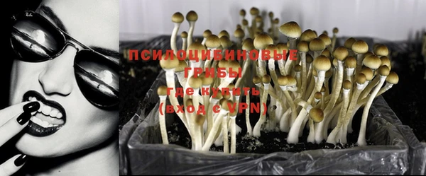 трава Липки