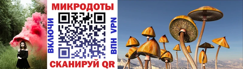 кракен зеркало  закладка  Малоархангельск  Псилоцибиновые грибы прущие грибы 